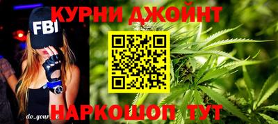 молекула духа Шебекино