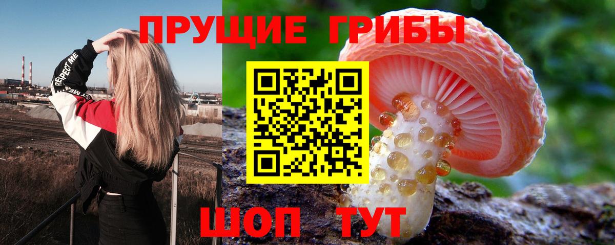 Псилоцибиновые грибы мухоморы  Вход с VPN  Брянск 