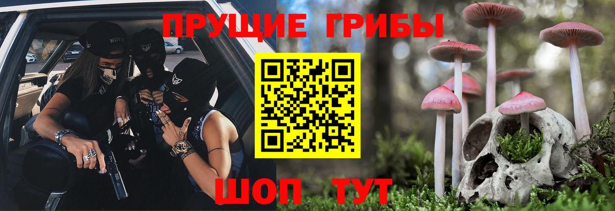 Галлюциногенные грибы Psilocybine cubensis Брянск
